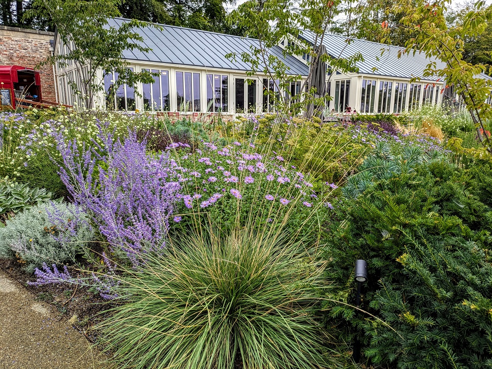 Raby Castle - The Vinery Cafe