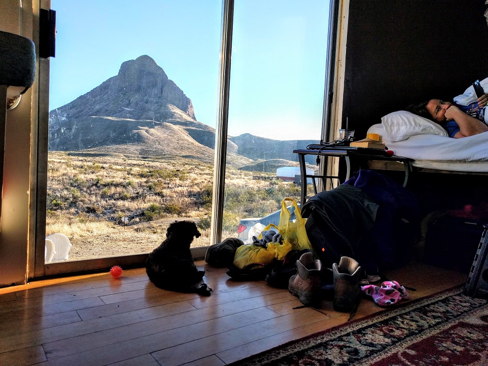 Truffles enjoyed the view too